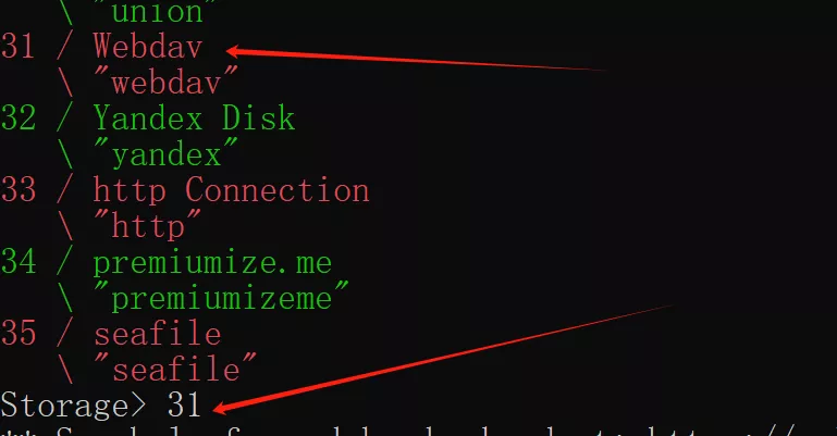 image-20240108152815283